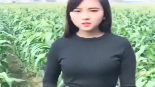 美女的上门医婿短剧在线观看  上门医婿短剧在线观看——美女与上门医婿的甜蜜爱情故事，美女上门医婿短剧在线观看，甜蜜爱情故事--第1张