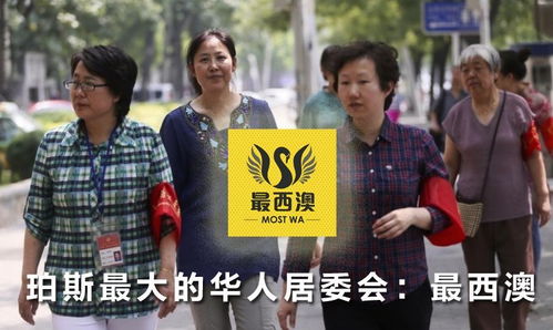 离婚后虐爆渣男短剧在线观看  离婚后虐爆渣男短剧在线观看，离婚后，渣男颤抖，虐爆前妻--第1张