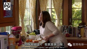 新绝望的主妇短剧在线观看  新绝望的主妇短剧在线观看，新绝望的主妇短剧在线观看，一部揭示家庭生活真实面貌的剧集--第1张
