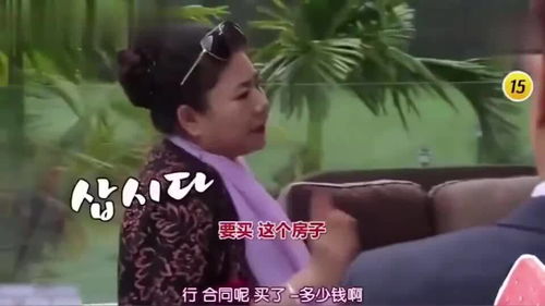我的豪横婆婆短剧在线观看  我的豪横婆婆短剧在线观看，豪横婆婆在线短剧观看--第1张