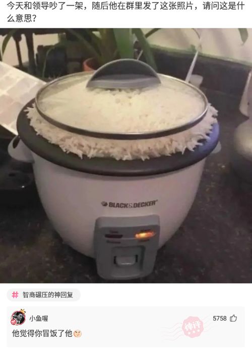 沉霄哥哥你别跑短剧在线观看  沉霄哥哥你别跑短剧在线观看，沉霄哥哥，别跑，我来了--第1张