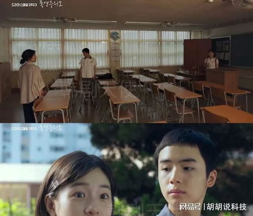 喜欢的少年是你短剧在线观看  喜欢的少年是你短剧在线观看，暗恋少年的心事--第1张