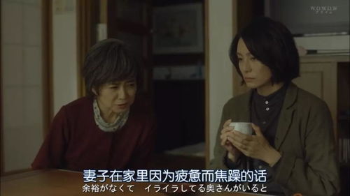 太太别卷了你老公是首富短剧在线观看  太太，别卷了你老公是首富短剧在线观看，太太别卷了，首富老公宠妻成瘾--第1张