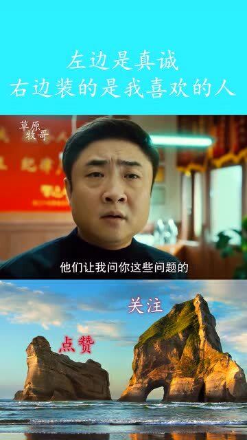 救命我被三个大佬逼婚短剧在线观看  救命！我被三个大佬逼婚，短剧在线观看--第1张