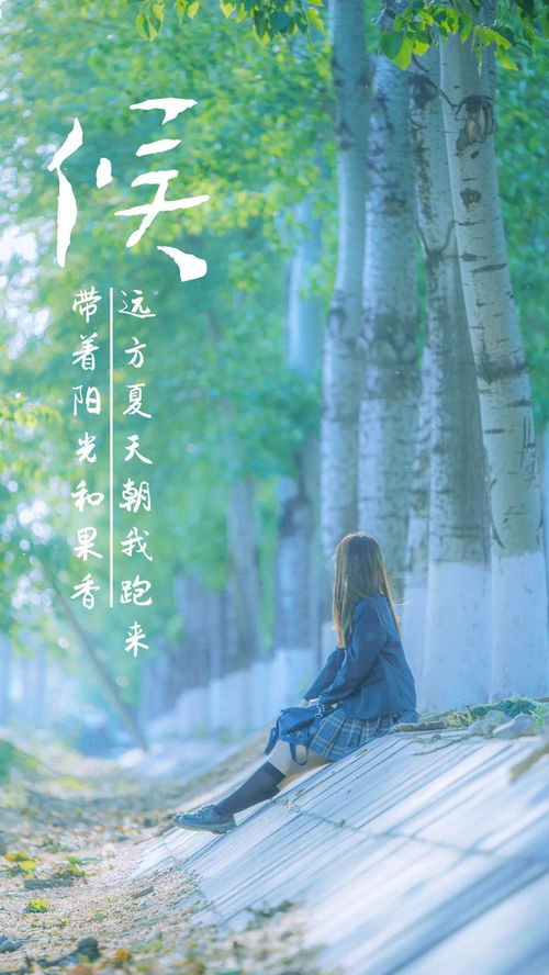 长风踏歌短剧在线观看  长风踏歌短剧在线观看，长风踏歌短剧在线观看，一部引人入胜的古装剧--第1张