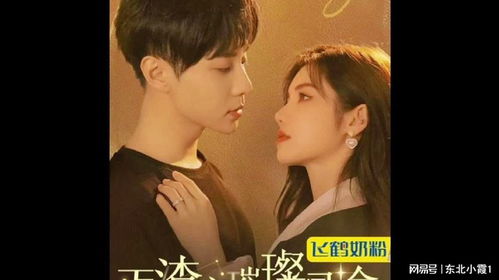 封总前妻太难追短剧在线观看  ，封总前妻太难追短剧在线观看，封总前妻太难追，总裁，别来无恙--第1张