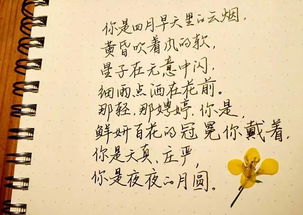 你是人间四月天短剧在线观看  你是人间四月天短剧在线观看--第1张