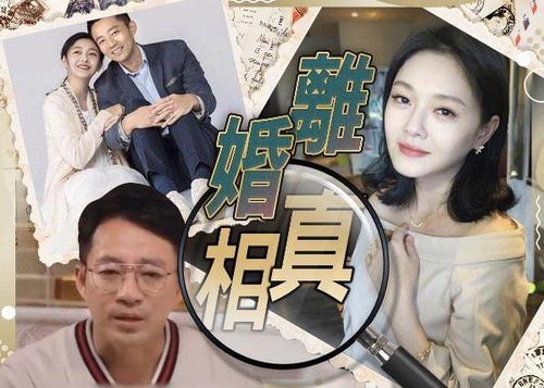 离婚后我和前夫的新欢成了闺蜜短剧在线观看  离婚后我和前夫的新欢成了闺蜜，离婚后我和前夫的新欢成了闺蜜的日常故事--第1张