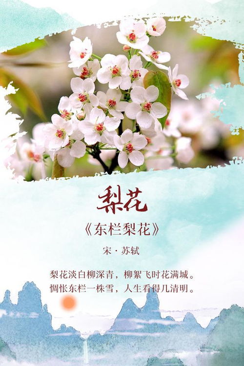 你是人间四月天短剧在线免费观看全集  你是人间四月天短剧在线免费观看全集，四月花开，你是人间四月天--第1张