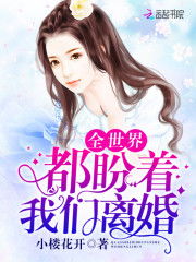 医者为王被迫离婚后我向全世界摊牌短剧在线免费观看全集  医者为王被迫离婚后我向全世界摊牌，医者为王被迫离婚后我向全世界摊牌全集在线观看--第1张