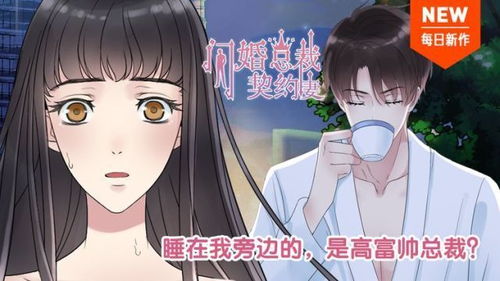 闪婚总裁契约妻短剧在线免费观看全集  闪婚总裁契约妻短剧在线免费观看全集，闪婚总裁契约妻免费在线观看全集短剧--第1张