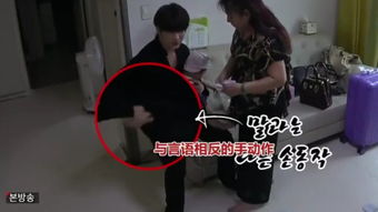 一胎双宝老婆复仇超厉害短剧在线免费观看全集  一胎双宝老婆复仇超厉害短剧在线免费观看全集--第1张