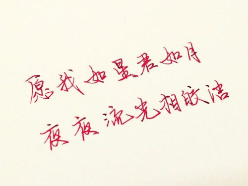 你是我的星辰愿我如星君如月短剧在线免费观看全集  你是我的星辰愿我如星君如月--第1张