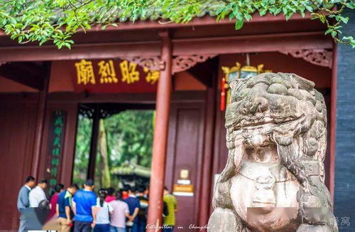 穿越从青楼开始古代发明家长篇短剧在线免费观看全集  穿越从青楼开始--第1张
