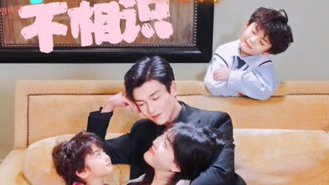 今时重逢不相识短剧在线免费观看全集  今时重逢不相识短剧在线免费观看全集，今时重逢不相识，短剧在线免费观看--第1张