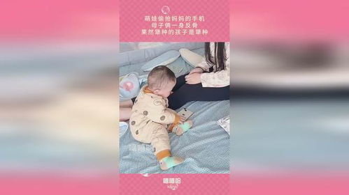 妈咪反骨双宝添堵短剧在线免费观看全集  妈咪反骨双宝添堵短剧在线免费观看全集，妈咪反骨双宝添堵，总裁爹地，别惹我！--第1张