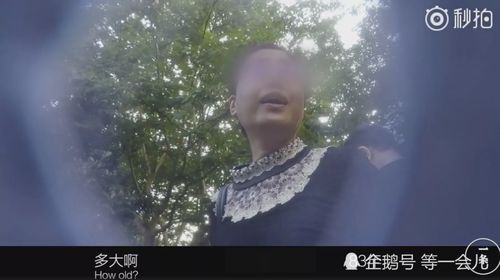 我的战神妈妈短剧在线免费观看全集  我的战神妈妈短剧在线免费观看全集，我的战神妈妈，短剧在线免费观看全集--第1张