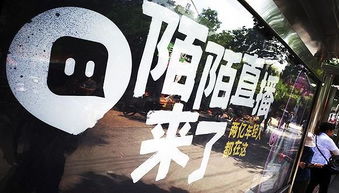 我靠颜值崛起了短剧在线免费观看全集  我靠颜值崛起了，短剧在线免费观看全集，颜值巅峰，我靠颜值崛起--第1张