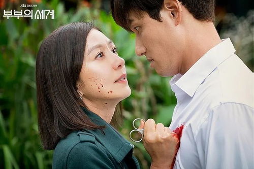肥妻的复仇短剧在线免费观看全集  肥妻的复仇短剧在线免费观看全集--第1张