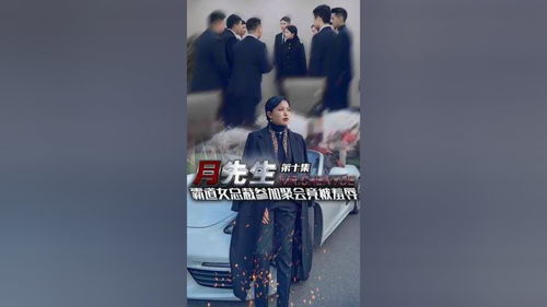 师傅忽悠下山祸害师姐短剧全集在线观看  师傅忽悠下山祸害师姐短剧全集在线观看，师傅下山祸害师姐，短剧全集在线观看--第1张