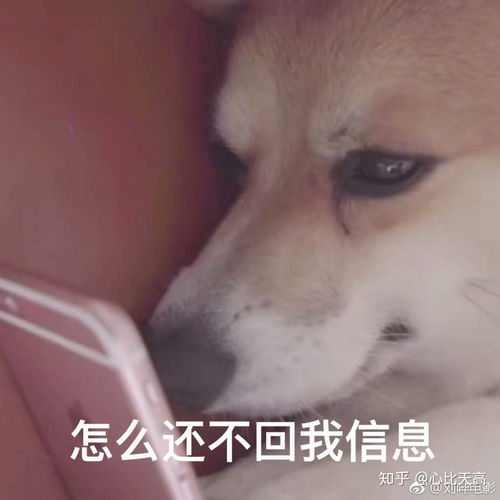 高攀不起新版我有九万亿舔狗金杨桃短剧全集在线观看  高攀不起新版我有九万亿舔狗金杨桃短剧全集在线观看--第1张