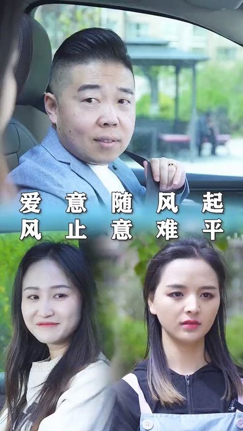 爱意随风起短剧全集在线观看  爱意随风起短剧全集在线观看--第1张