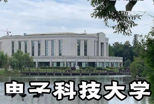 再临短剧全集在线观看  再临短剧全集在线观看，再临短剧全集在线观看，精彩短剧不容错过--第1张