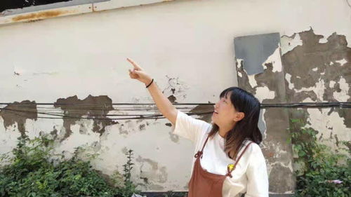 我的老婆是将军短剧全集在线观看  我的老婆是将军短剧全集在线观看--第1张