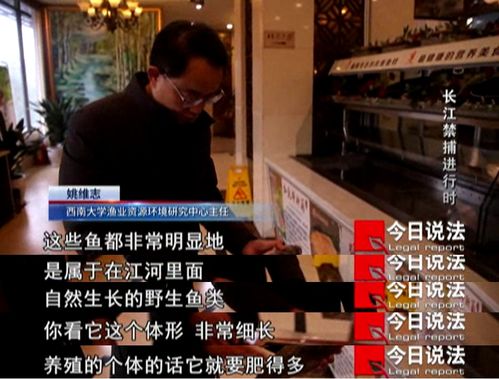 隐退三年他都求我重操旧业短剧全集在线观看  隐退三年他都求我重操旧业短剧全集在线观看，隐退三年他都求我重操旧业在线观看，短剧剧情引人入胜--第1张