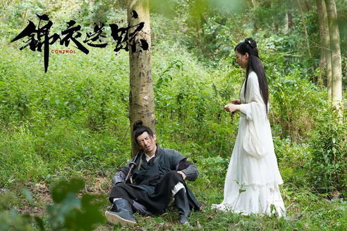 锦衣回乡短剧全集在线观看  锦衣回乡短剧全集在线观看--第1张