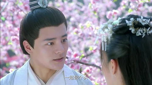 当穿越女遇上重生太子妃短剧全集在线观看  当穿越女遇上重生太子妃短剧全集在线观看，穿越女遇上重生太子妃，奇妙的时空交错--第1张