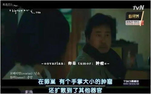 藏在时光深处的爱人短剧全集在线观看  藏在时光深处的爱人短剧全集在线观看--第1张