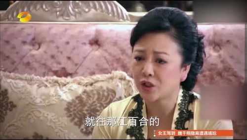 仇少妻子的秘密短剧全集在线观看  仇少妻子的秘密短剧全集在线观看--第1张