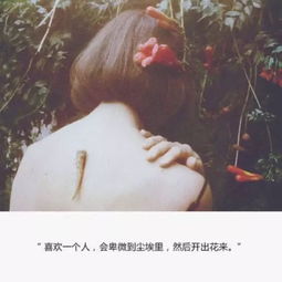 尘埃里的花朵短剧全集在线观看  尘埃里的花朵短剧全集在线观看--第1张