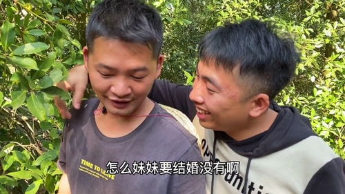 八角短剧全集在线观看  八角短剧全集在线观看，八角短剧全集在线观看，笑料百出的短剧世界--第1张