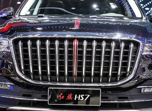 红旗越野车2020新款_红旗越野车2020新款电动--第1张