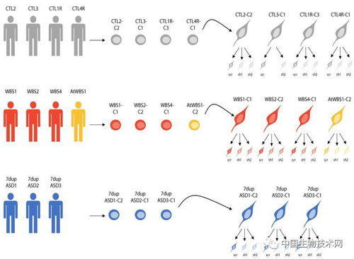 science_science advances--第1张
