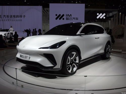 上汽集团新能源汽车_上汽集团新能源汽车电池供应商--第1张