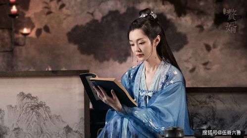 赘婿复仇记大结局27章_赘婿还原度--第1张