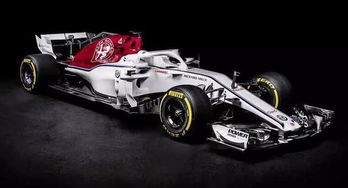 阿尔法罗密欧f1车队_阿尔法罗密欧F1车队队服--第1张