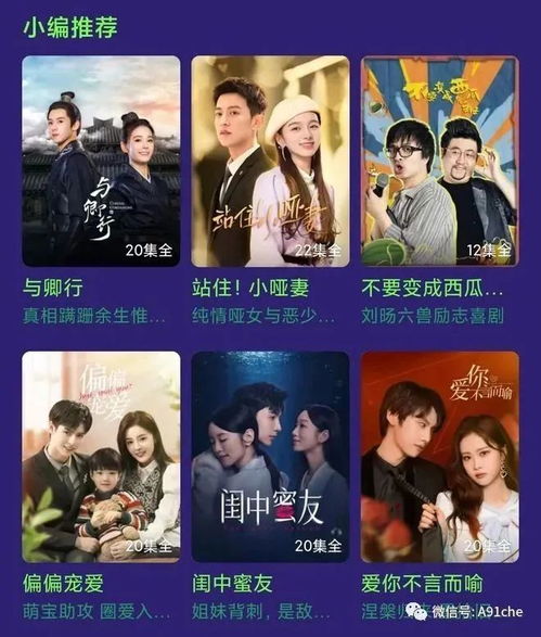 野宠短剧资讯  野宠短剧资讯，带你走进短剧新纪元，野宠短剧资讯，短剧新纪元之旅--第1张