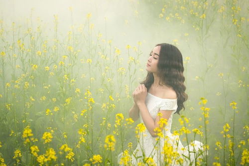 江少的契约夫人短剧资讯  江少的契约夫人短剧资讯，江少的契约夫人最新剧集资讯--第1张