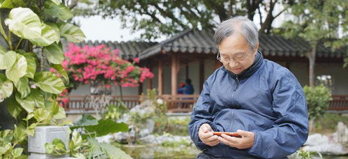 凤起短剧资讯  凤起短剧资讯，精彩短剧，一触即达，凤起短剧资讯，精彩短剧，一触即达的影视动态--第1张