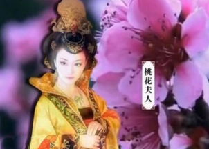 妖妃真假总裁夫人短剧资讯  妖妃真假总裁夫人短剧资讯，妖妃真假总裁夫人短剧资讯，揭秘剧情走向与角色关系--第1张