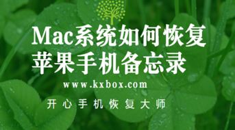 爱随秋风起短剧资讯  爱随秋风起短剧资讯，爱随秋风起短剧资讯，一部感人至深的爱情故事--第1张