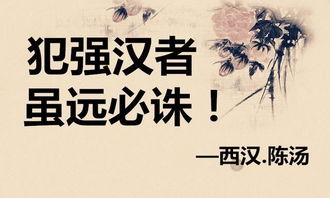 虽远必诛短剧资讯  虽远必诛短剧资讯--第1张