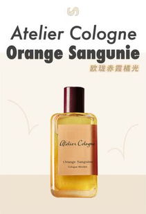 极乐香水短剧资讯  极乐香水短剧资讯，极乐香水短剧资讯，新剧爆火，香水女孩如何征服世界？--第1张