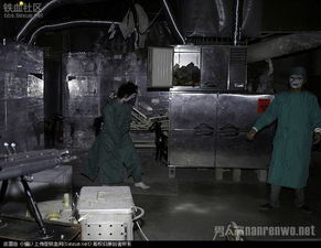 封门村之恐怖直播短剧资讯  封门村之恐怖直播短剧，揭秘惊悚背后的真实故事--第1张