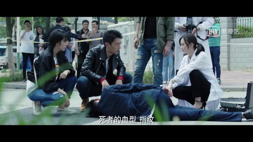 崛起之鱼贩人生《狂飙之从卖鱼开始》短剧资讯  崛起之鱼贩人生狂飙之从卖鱼开始短剧资讯，崛起之鱼贩人生狂飙之从卖鱼开始短剧资讯，揭秘鱼贩的逆袭之路--第1张