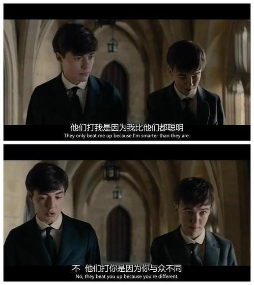 重启辉煌人生短剧资讯  重启辉煌人生短剧资讯，重启辉煌人生，短剧资讯--第1张